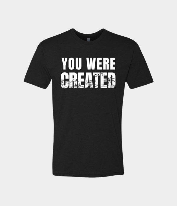 Created T-shirt | Kingdom In Context