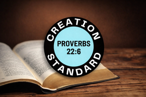 Creation Standard