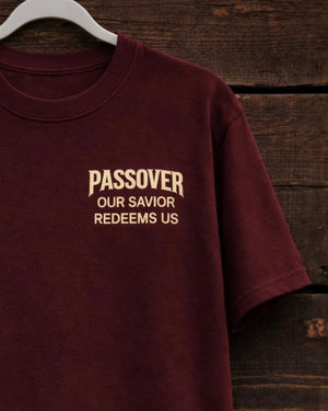 Passover T-Shirt - Maroon