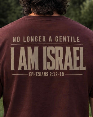 T-Shirt Of The Month