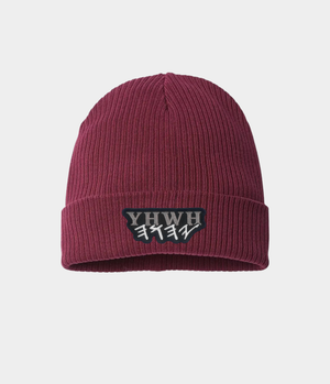 Organic Cotton Sanctified Beanie